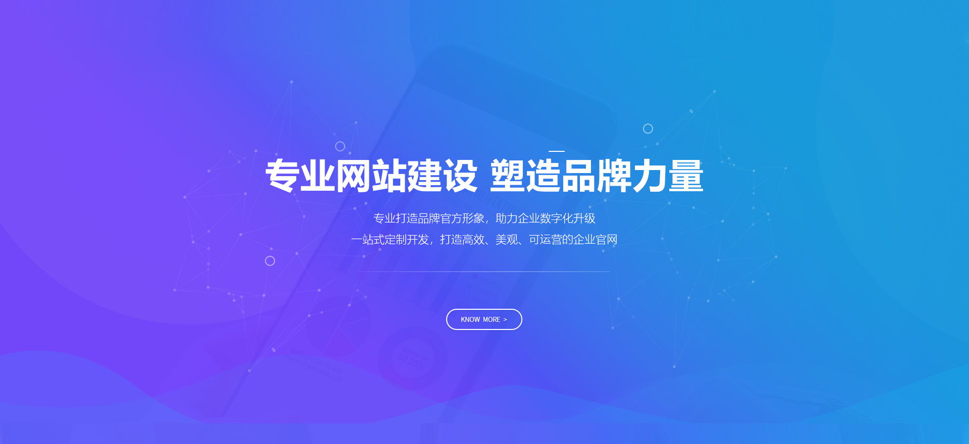 沙坪坝建站-专业网站建设 塑造品牌力量