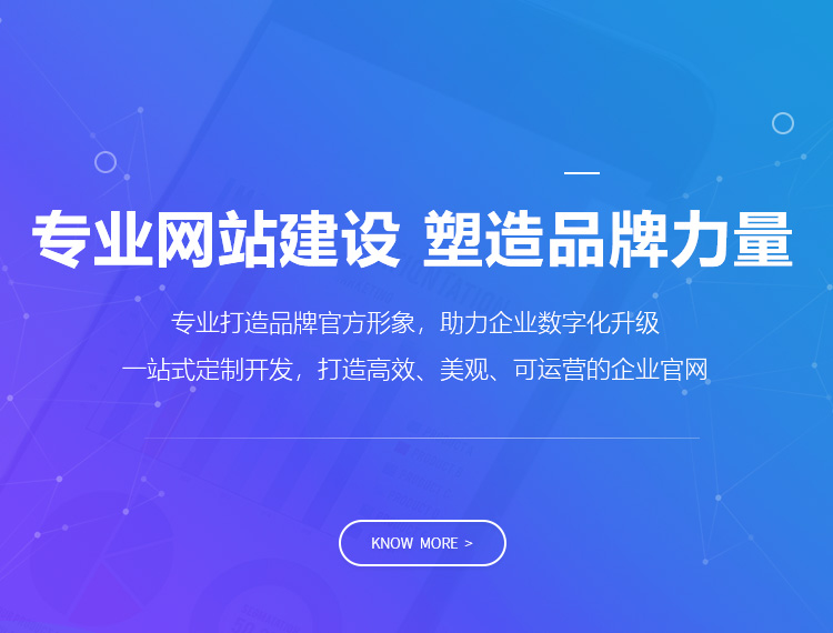沙坪坝建站-专业网站建设 塑造品牌力量